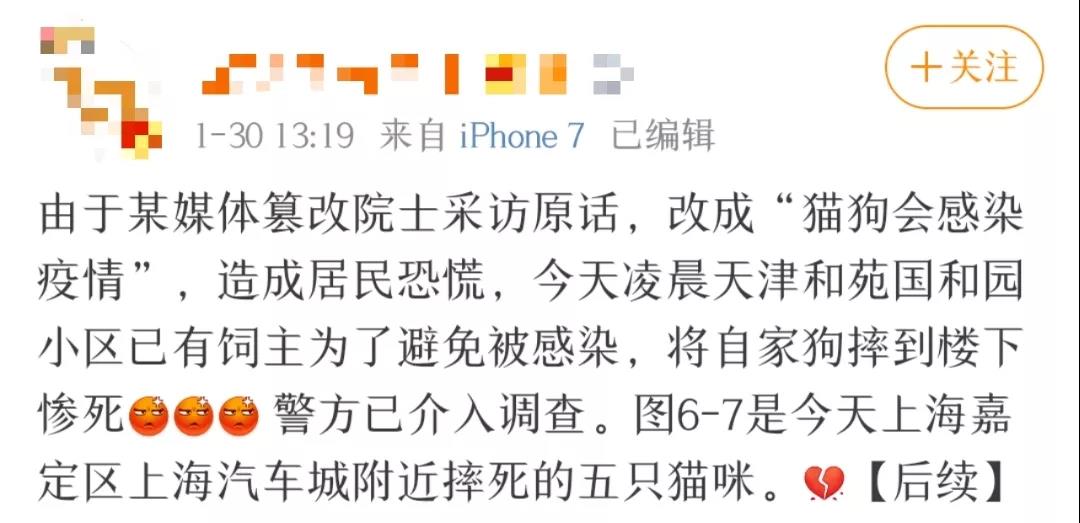 新型肺炎和猫狗有关系吗 为什么还有人在扔猫摔狗?