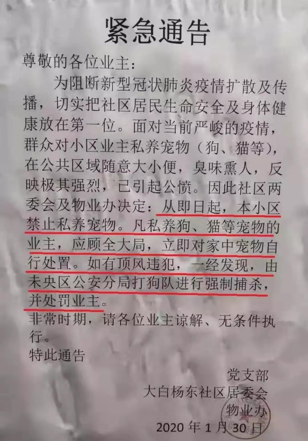 新型肺炎和猫狗有关系吗 为什么还有人在扔猫摔狗?