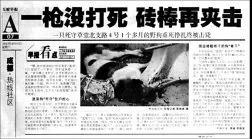 新型肺炎和猫狗有关系吗 为什么还有人在扔猫摔狗?