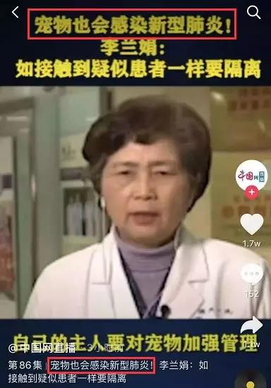 新型肺炎和猫狗有关系吗 为什么还有人在扔猫摔狗?