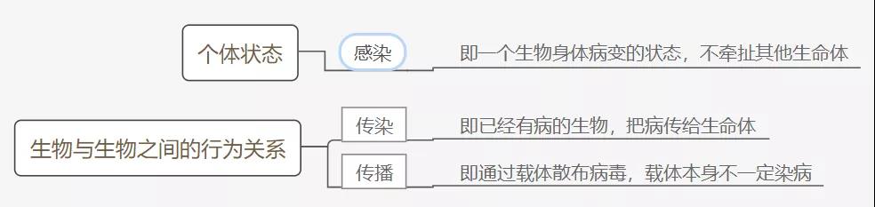 新型肺炎和猫狗有关系吗 为什么还有人在扔猫摔狗?