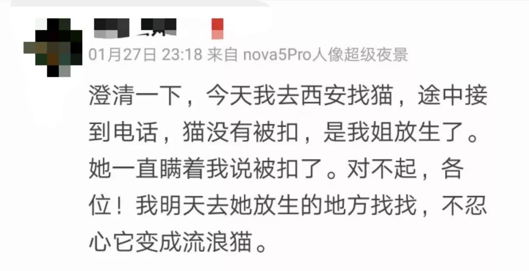 新型肺炎和猫狗有关系吗 为什么还有人在扔猫摔狗?