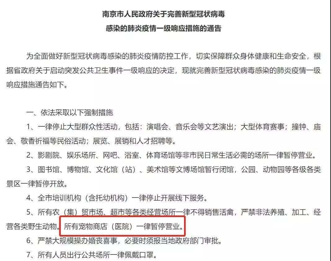 新型肺炎期间宠物怎么办 连宠物医院都不营业？