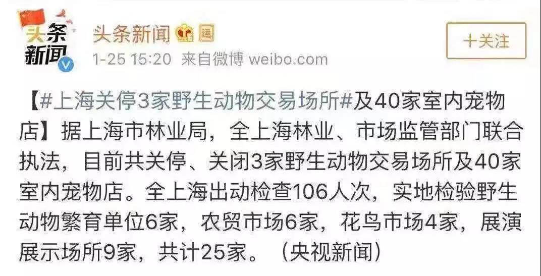 新型肺炎期间宠物怎么办 连宠物医院都不营业？