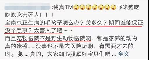 新型肺炎期间宠物怎么办 连宠物医院都不营业？