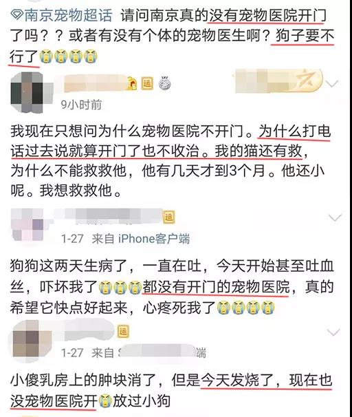 新型肺炎期间宠物怎么办 连宠物医院都不营业？