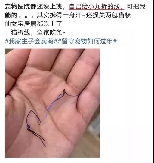 新型肺炎期间宠物怎么办 连宠物医院都不营业？