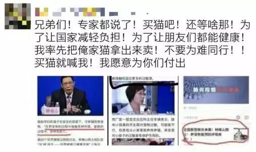 武汉封城家里的猫怎么办 疫情无情人有情