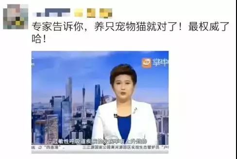 武汉封城家里的猫怎么办 疫情无情人有情