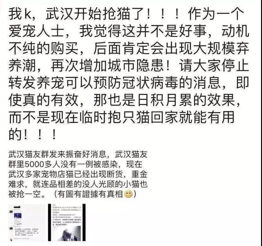 武汉封城家里的猫怎么办 疫情无情人有情