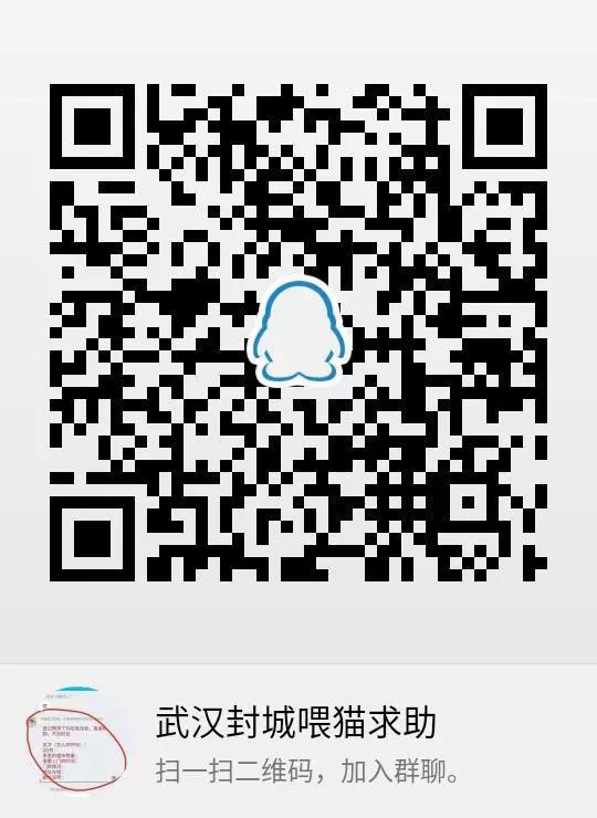 武汉封城家里的猫怎么办 疫情无情人有情