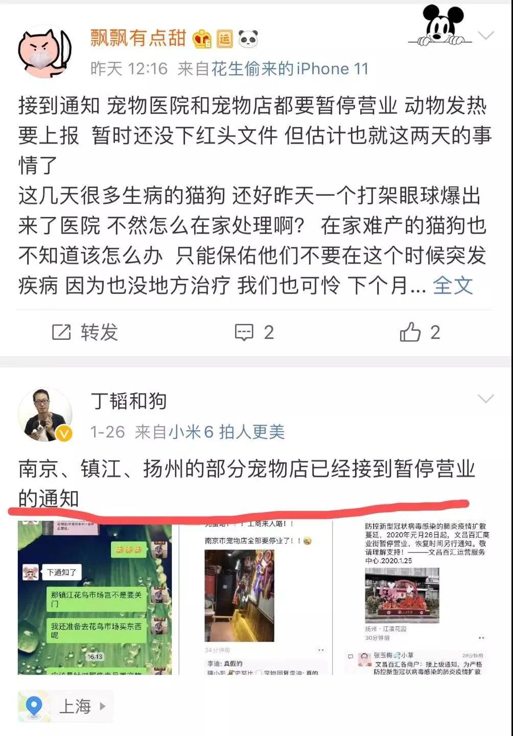 新型冠状病毒期间家里宠物怎么办 囤粮是否可取？