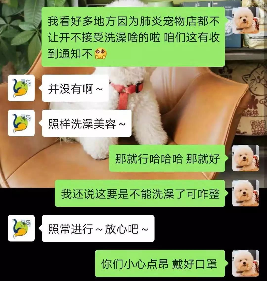 新型冠状病毒期间家里宠物怎么办 囤粮是否可取？