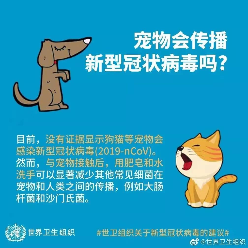 猫会感染新型冠状病毒吗 猫冠状和这个是近亲吗？