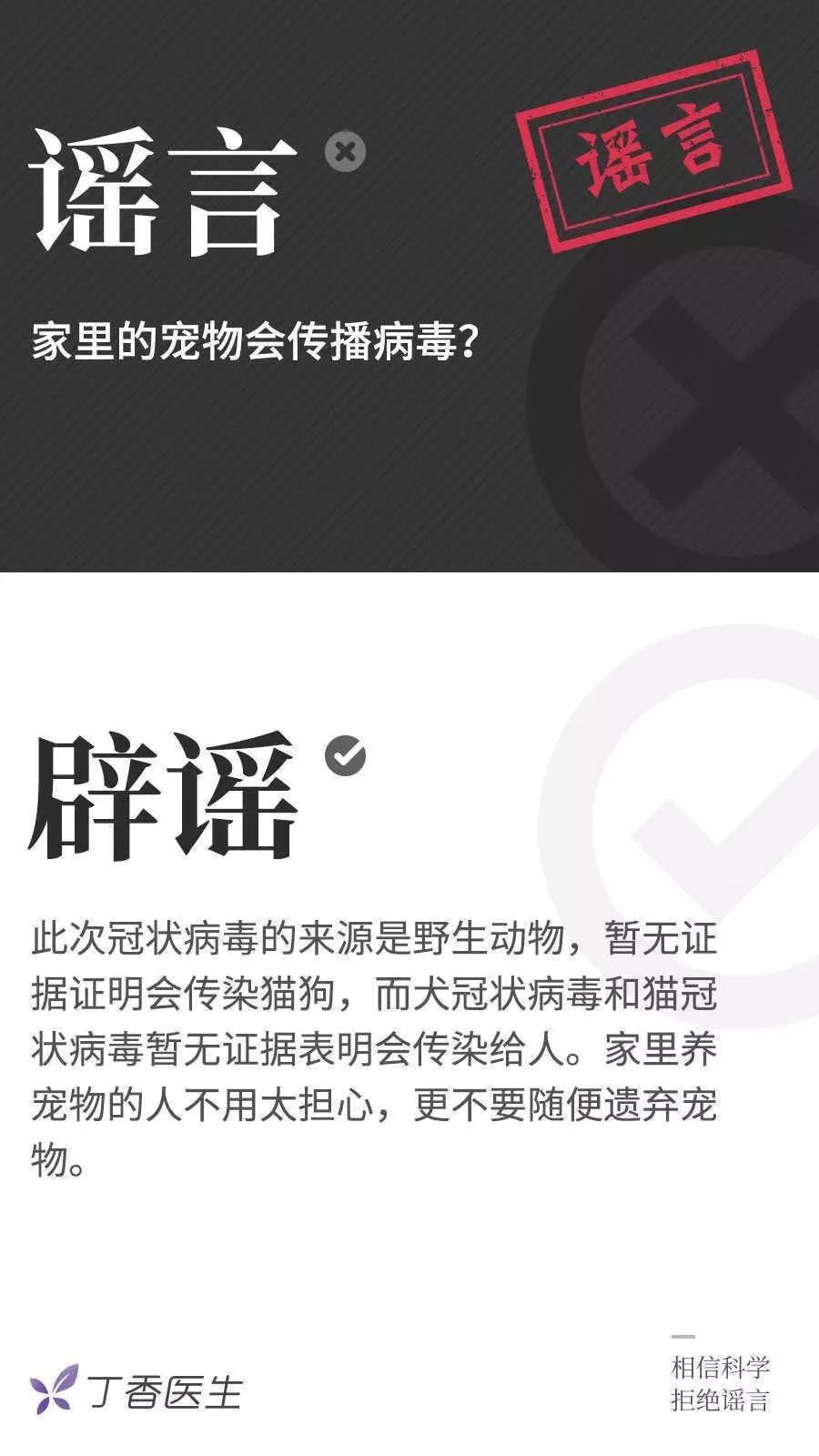 狗狗会感染新型冠状病毒吗 疫情期间如何护理狗狗