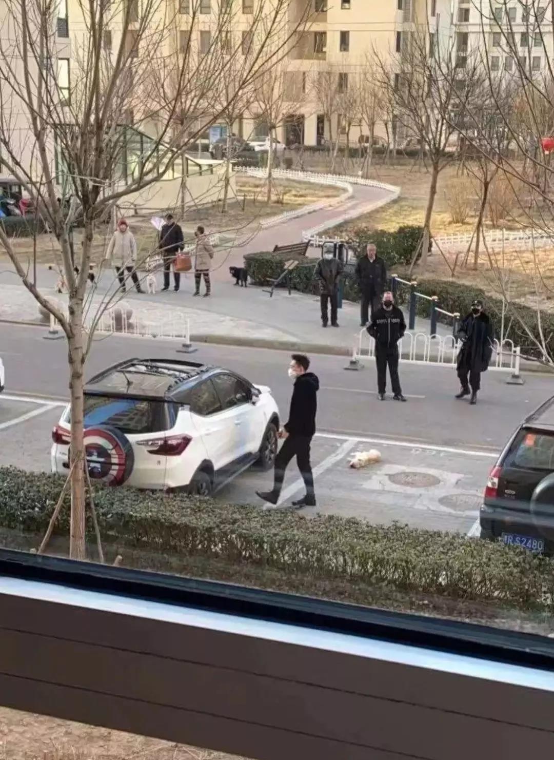 世卫组织称无证据显示宠物会感染 别再以谣传谣！