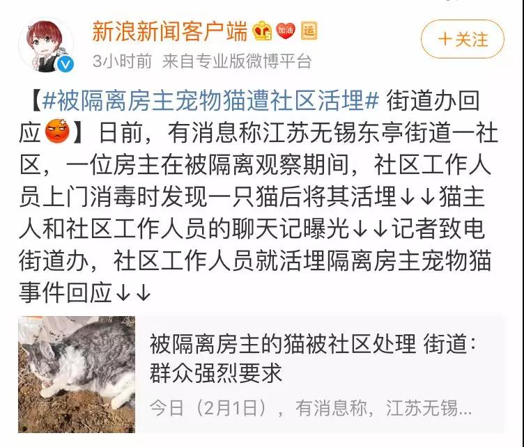 猫狗会被传染新型肺炎吗 杀死它的不是病毒是无知