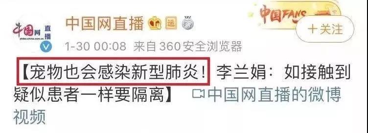 猫会不会感染新型冠状病毒 那些处死猫的主人到底在想什么