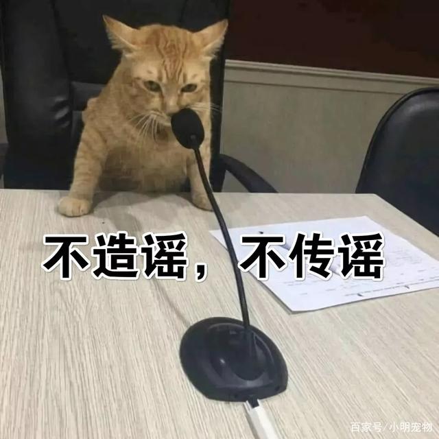 宠物猫狗会传染新冠肺炎吗 没有直接证明！