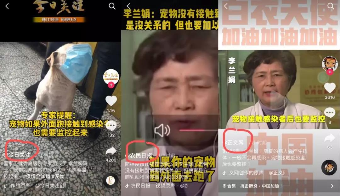 猫和狗会传染疫情吗 面对谣言要动脑！