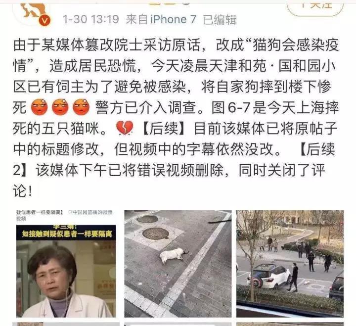 猫和狗会传染疫情吗 面对谣言要动脑！