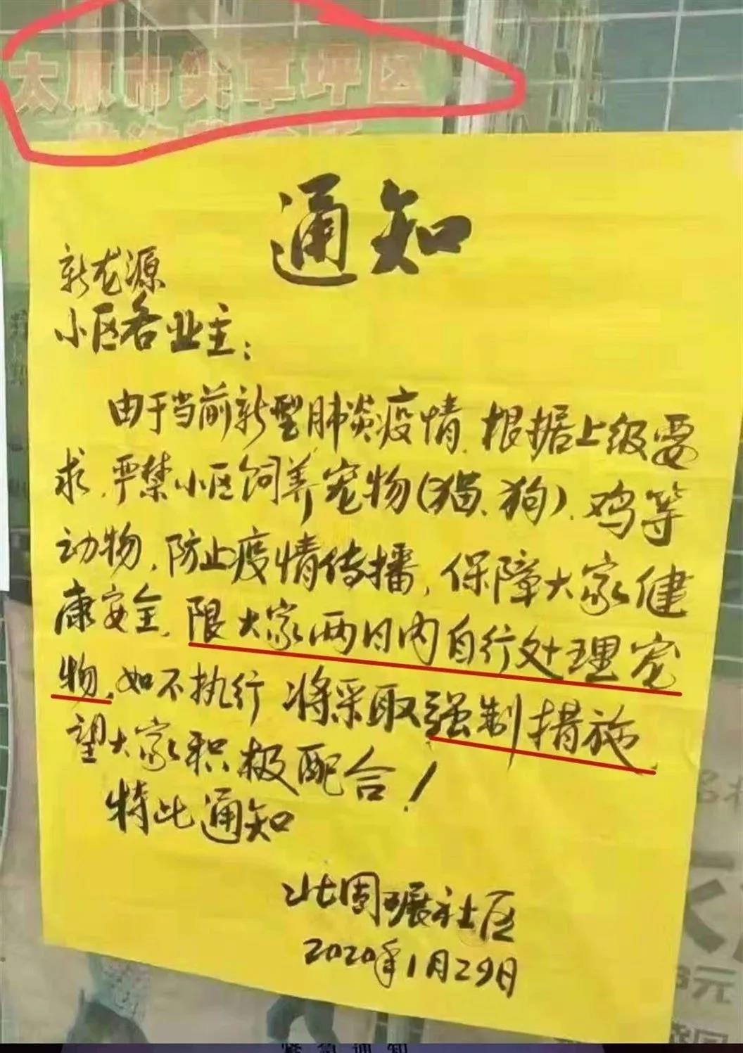 猫和狗会传染疫情吗 面对谣言要动脑！