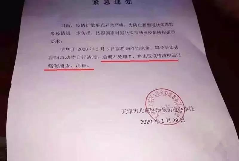 猫和狗会传染疫情吗 面对谣言要动脑！