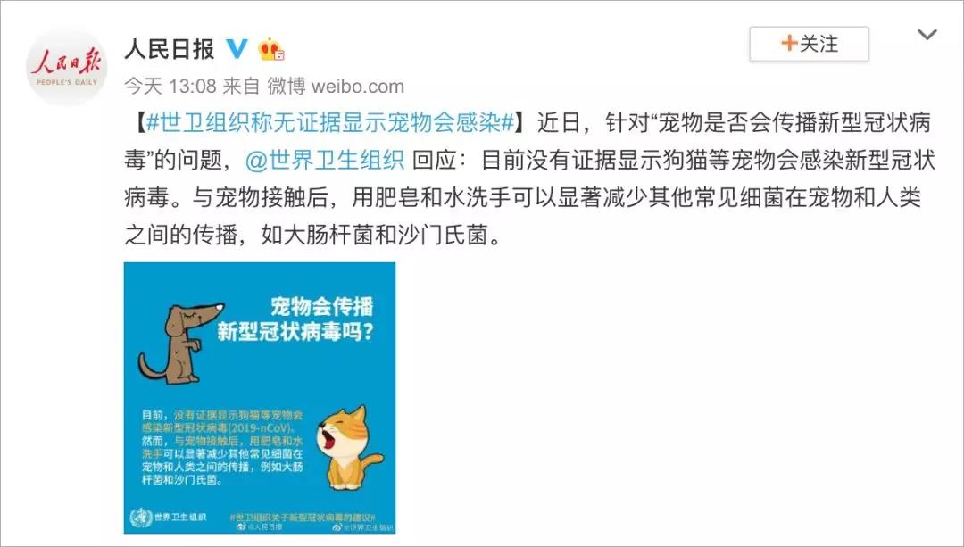 猫和狗会传染疫情吗 面对谣言要动脑！