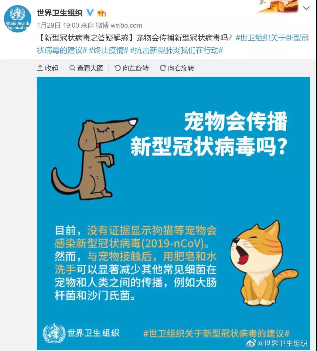 猫狗会感染新冠状病毒吗 什么是新型冠状病毒?
