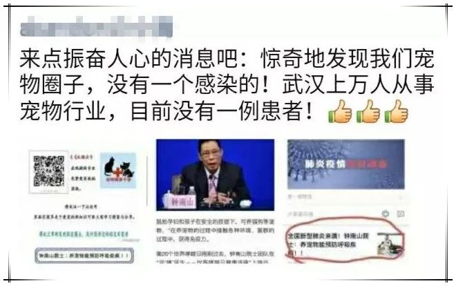 猫狗能携带新型肺炎吗 猫狗并不是传染源！