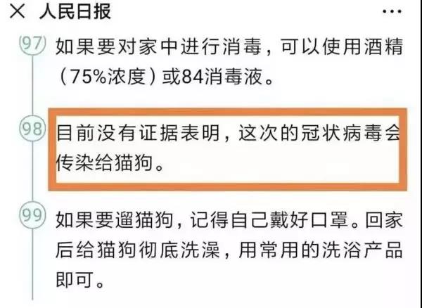 疫情期间狗狗会被传染吗 理智看待谣言