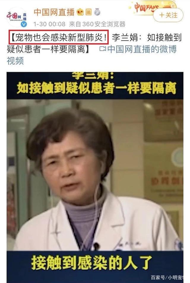 犬猫与新型冠状病毒肺炎的关系 是不属于直接传染关系！