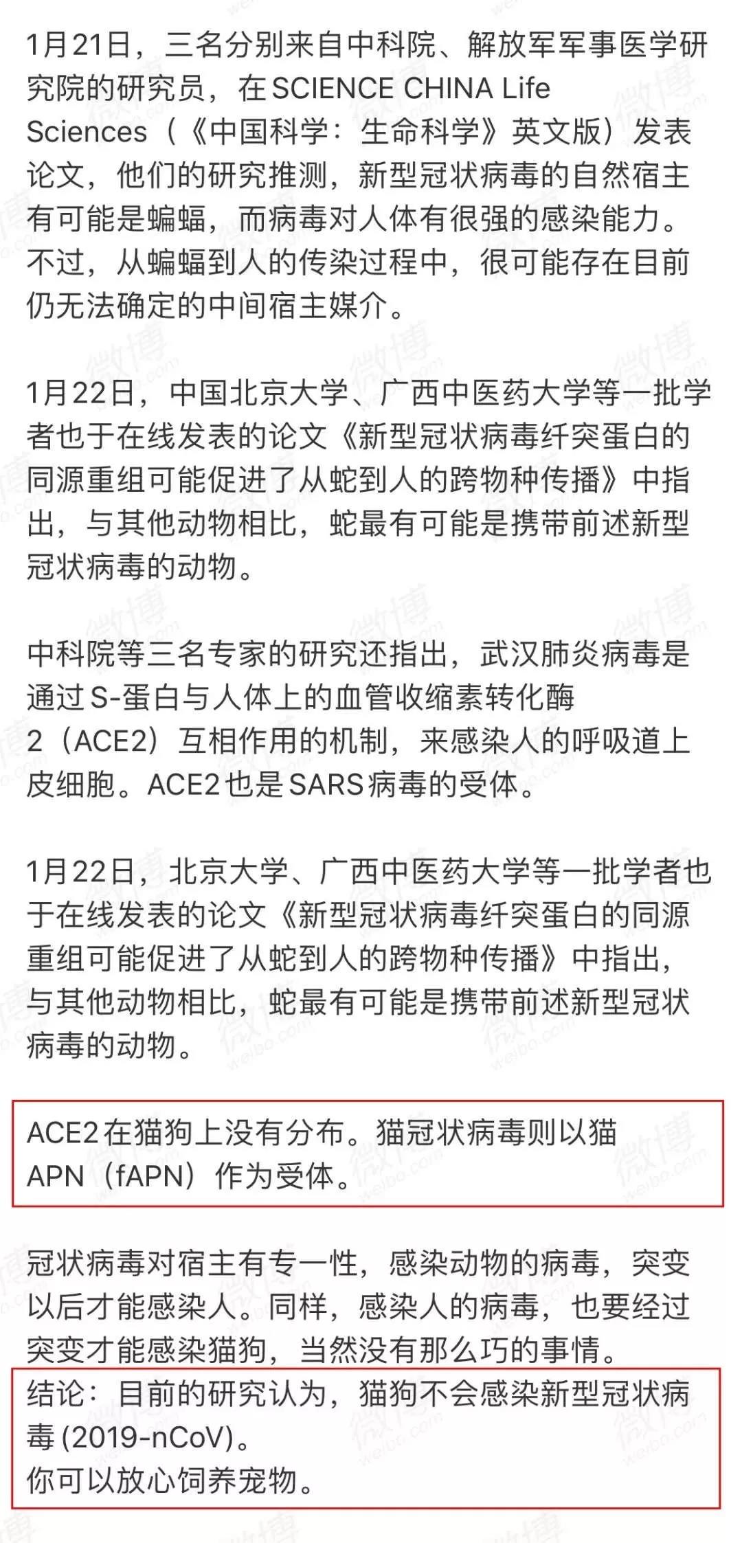 新型肺炎会在人和宠物之间传染吗 理性看待！