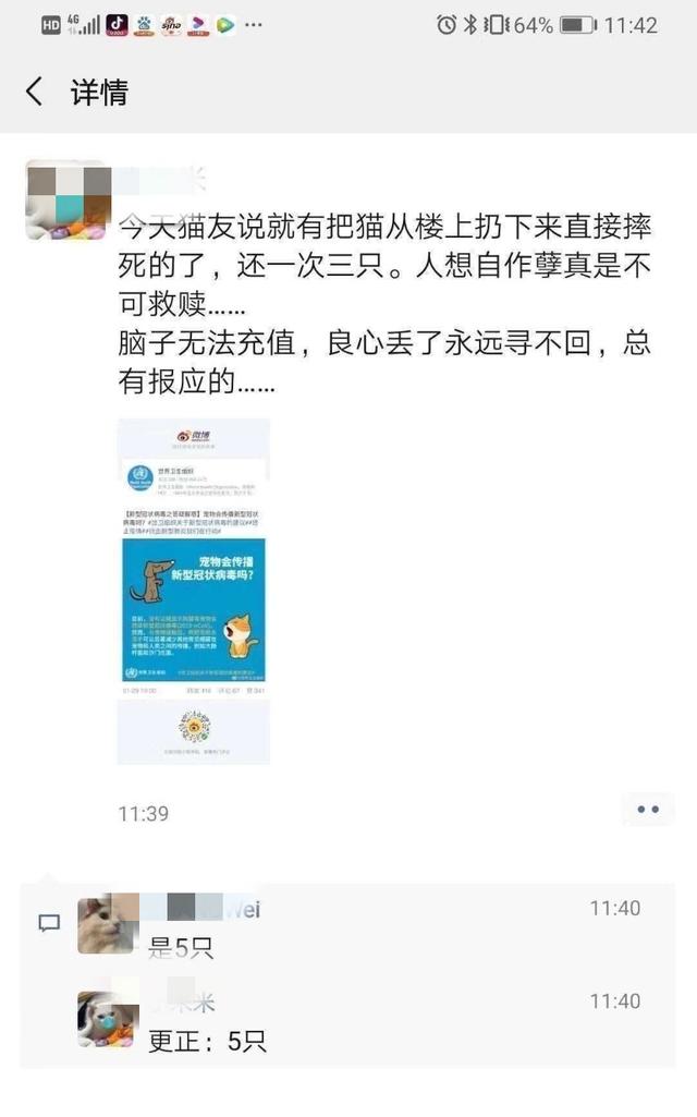 新型冠状病毒会传染给猫狗吗？ 不要抱有侥幸心理！