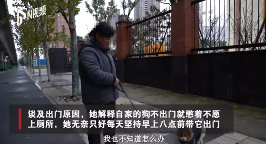 疫情期间可以遛狗狗吗 请对自己负责！