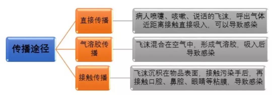 疫情期间可以遛狗狗吗 请对自己负责！