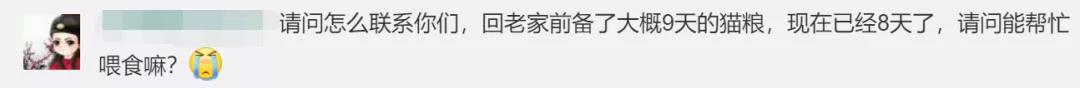 武汉封城宠物怎么办 封城下的特别救援行动