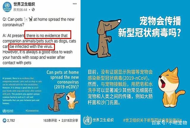 新型冠状病毒宠物可以和人待在一起么 不要和病原体接触