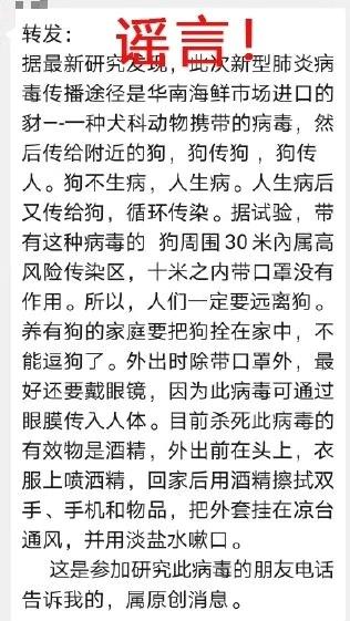 猫狗是新型肺炎的病源吗 要是病源还会等到现在爆发吗