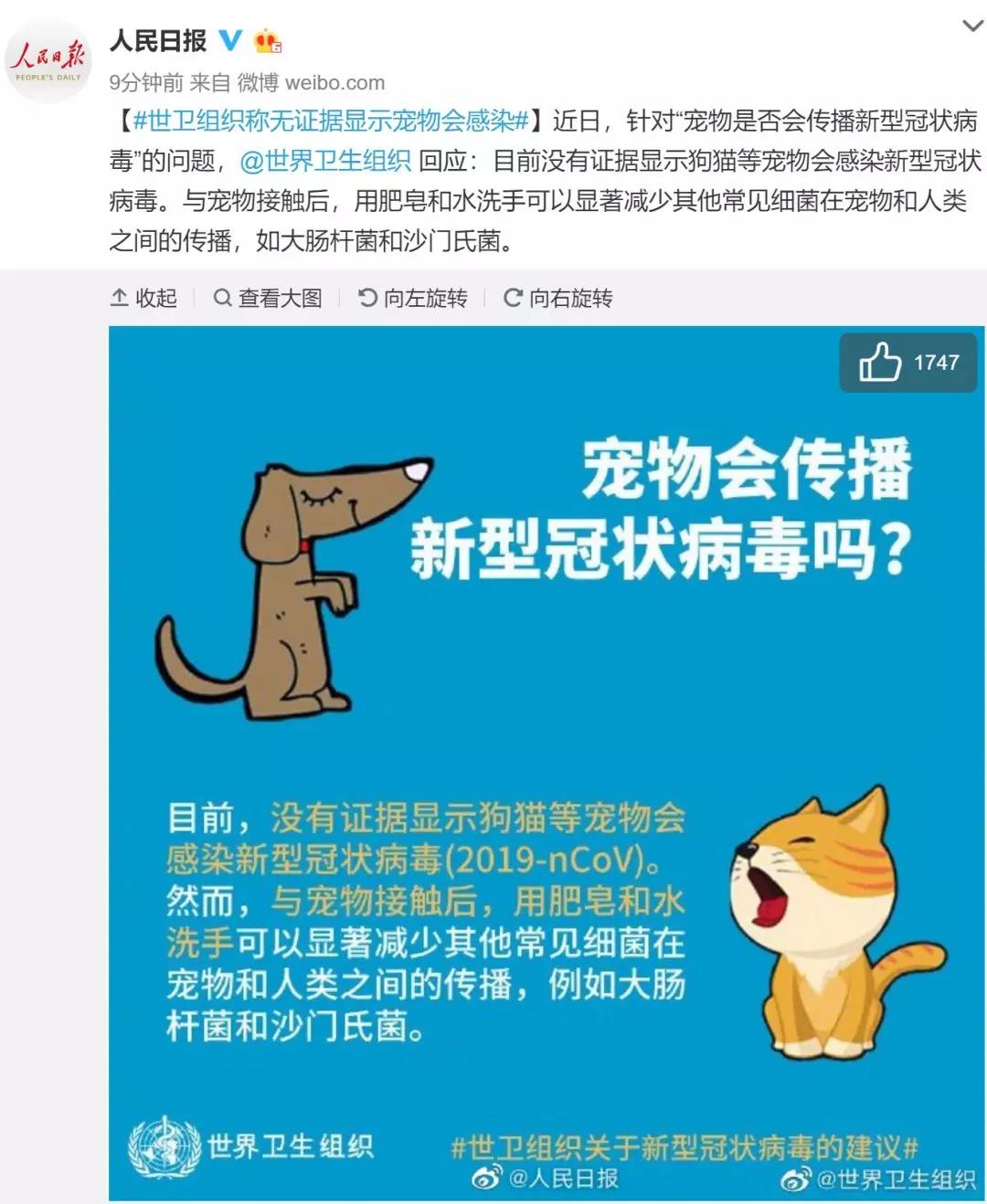 武汉肺炎宠物会传染吗 权威专家的建议被错误解读！