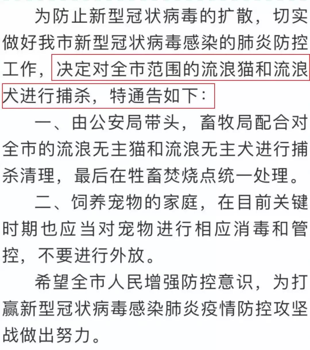 武汉肺炎宠物会传染吗 权威专家的建议被错误解读！