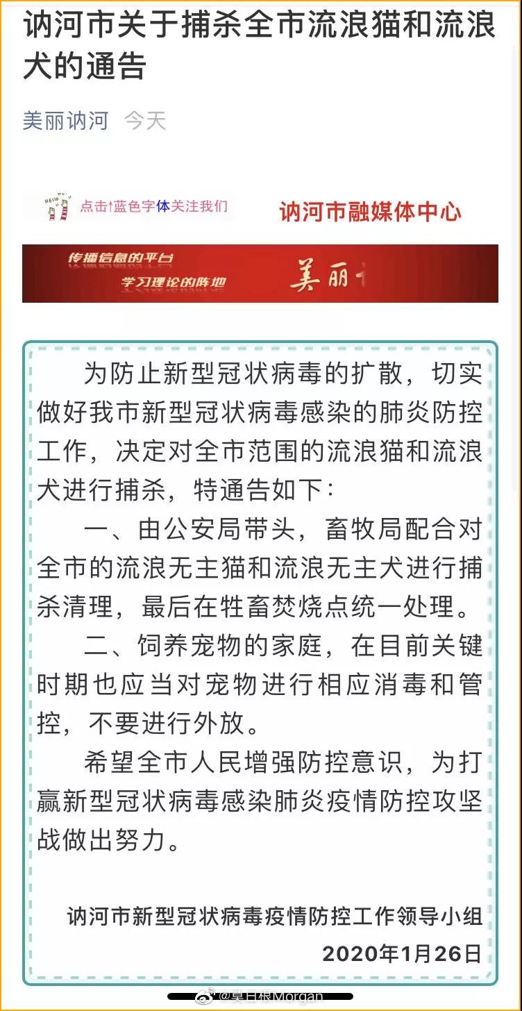 流浪猫狗会传染新型冠状病毒吗 全市捕杀活久见！