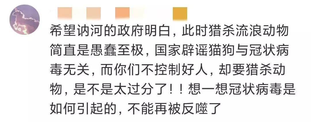 流浪猫狗会传染新型冠状病毒吗 全市捕杀活久见！