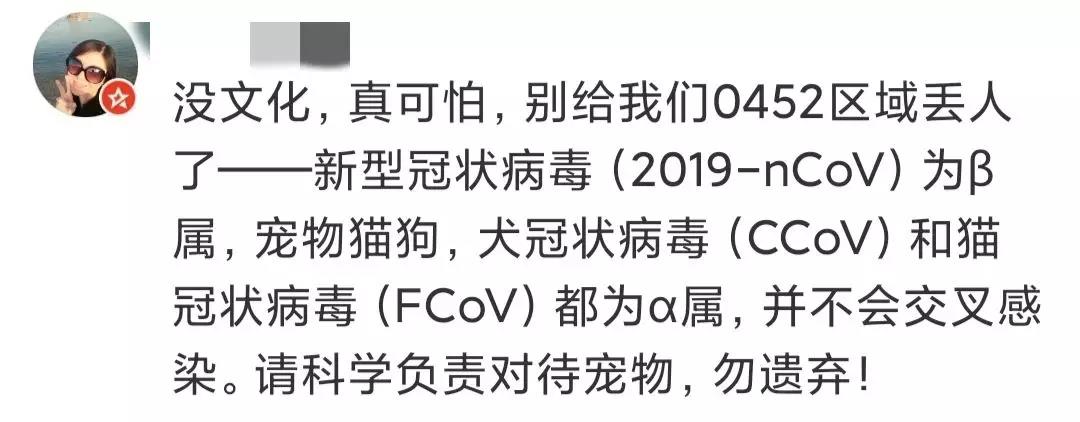流浪猫狗会传染新型冠状病毒吗 全市捕杀活久见！