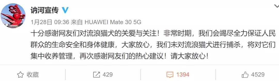 流浪猫狗会传染新型冠状病毒吗 全市捕杀活久见！