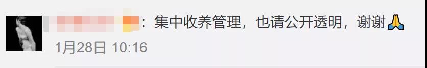 流浪猫狗会传染新型冠状病毒吗 全市捕杀活久见！