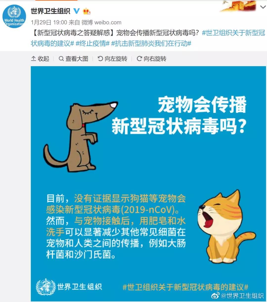 新型冠状病毒和宠物有关吗 是否会感染人类？
