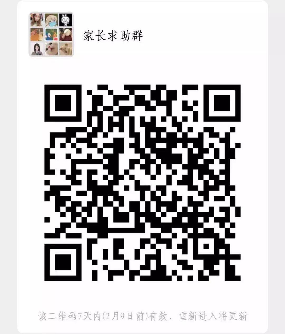 疫情期间家里的宠物怎么办 让更多宠物找到生的希望