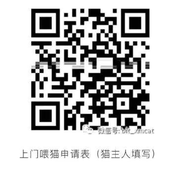 疫情期间家里的宠物怎么办 让更多宠物找到生的希望