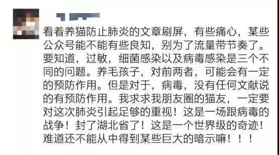 养猫能预防新型冠状病毒 养猫能提高抵抗力=抗病毒?